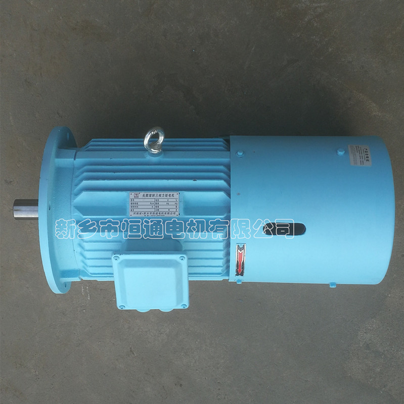 Long-term stall torque motor。